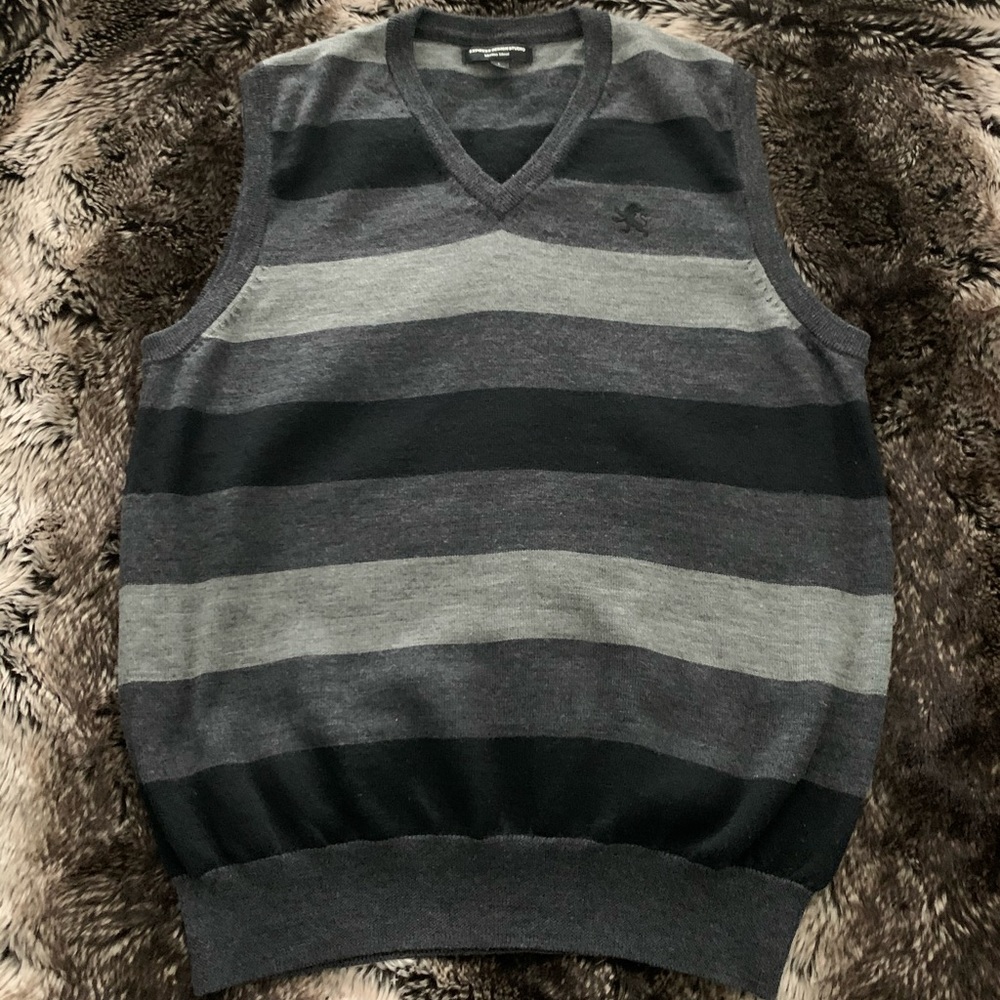 Express Striped Sweater Vest